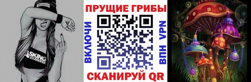 кракен ССЫЛКА  купить наркотики сайты  Опочка  Псилоцибиновые грибы Psilocybine cubensis 